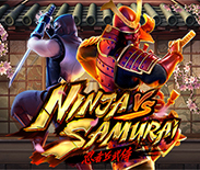 Ninja vs Samurai